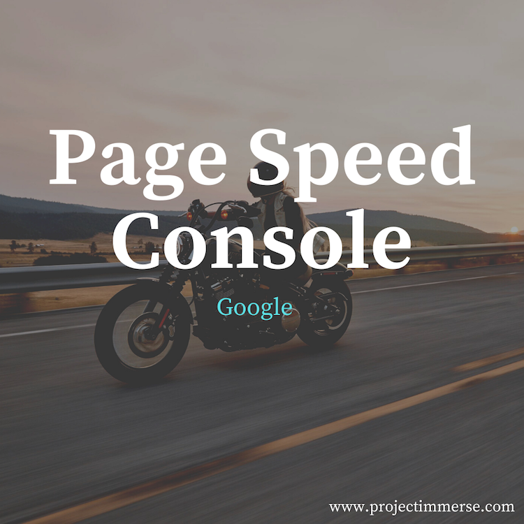 Google Page Speed Console
