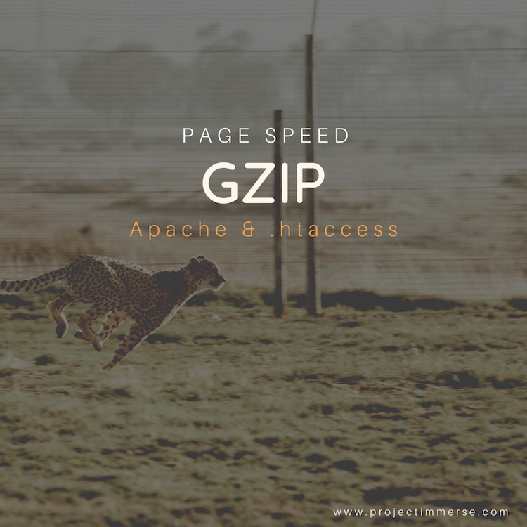 An intro to GZIP and compression